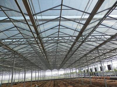黑龙江 建设温室大棚 玻璃温室 承接各种温室工程设计安装图片_高清图_细节图