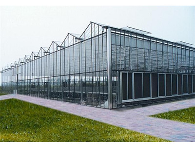 黑龙江玻璃温室大棚图片