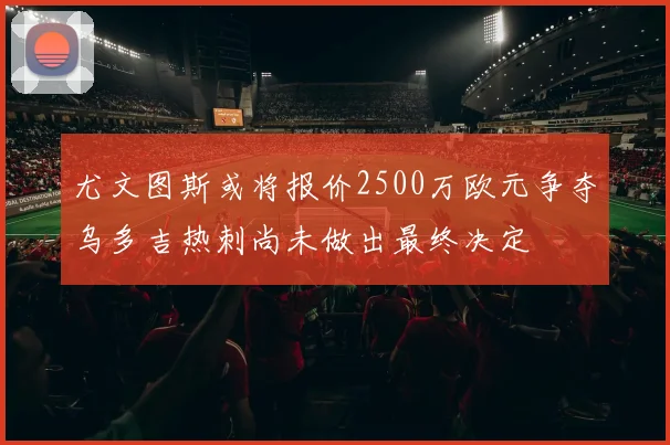 尤文图斯或将报价2500万欧元争夺乌多吉热刺尚未做出最终决定