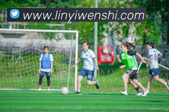 九游j9官方平台发展历程